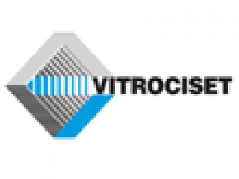 OnLine il sito Vitrociset.it