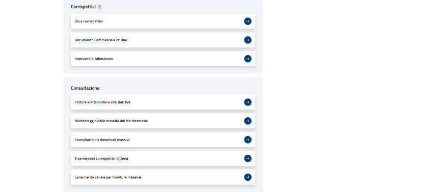 Consult Electronic Invoices and other VAT data